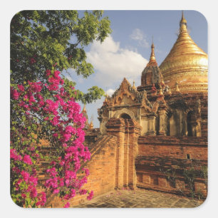 Dhamma Yazaka Pagoda vid Bagan (Pagan), Myanmar Fyrkantigt Klistermärke