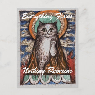 Dharma Cat Impermanence Postcard Vykort