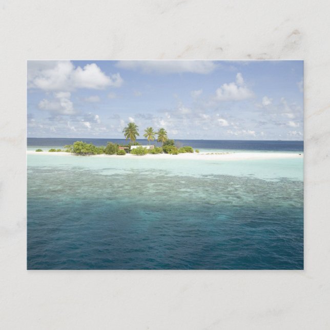Dhiggiri Island, South Ari Afee, Maldives Vykort (Framsida)
