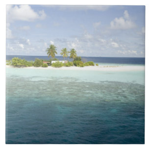Dhiggiri Island, South Ari Atoll, Maldiverna, Kakelplatta