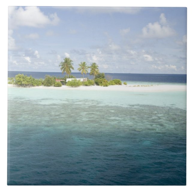 Dhiggiri Island, South Ari Atoll, Maldiverna, Kakelplatta (Framsidan)