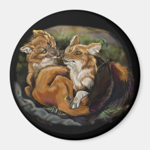 Dhole Cuddle par Magnet
