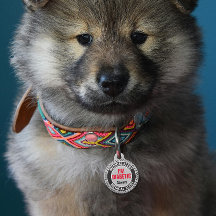 Diabetes Husdjur Medicinsk Varning Anpassat Namn G