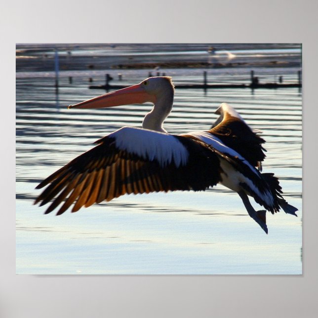 diabild poster (Framsidan)