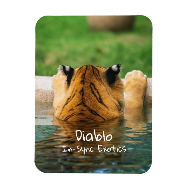 Diablo - magnet (Vertikal)