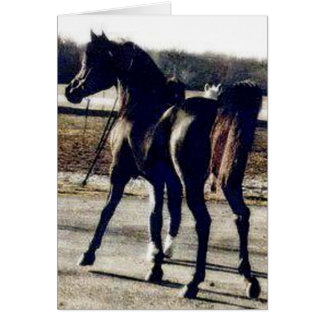 DIADHEM HÄLSNINGSKORT