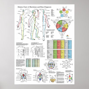 Diagnosdiagram för shiatsu Acupuncture Meridians H Poster