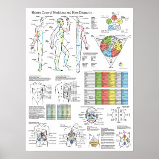 Diagnosdiagram för shiatsu Acupuncture Meridians H Poster
