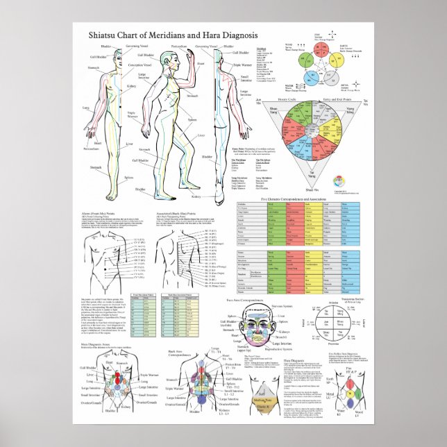 Diagnosdiagram för shiatsu Acupuncture Meridians H Poster (Framsidan)