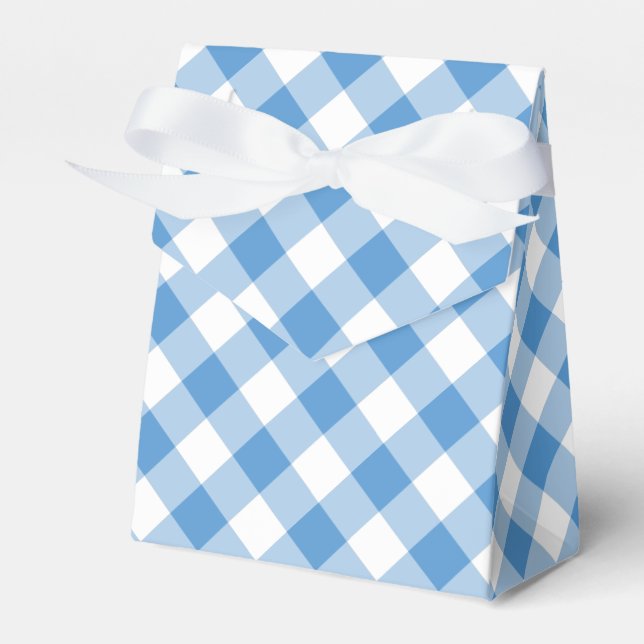 Diagonal Light Blue and White Gingham Play Presentaskar (Framsidan Sidan)