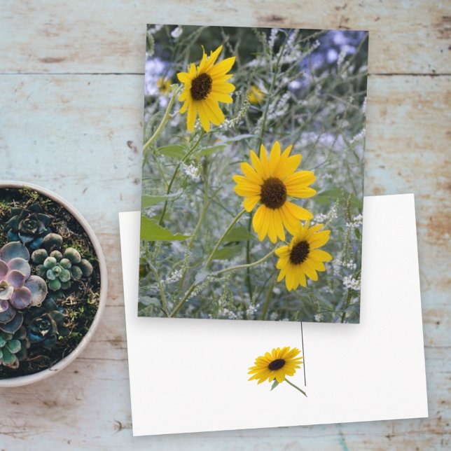 Diagonal Stack-solblommor Vykort (three sunflower front and back single sunflower postcard)