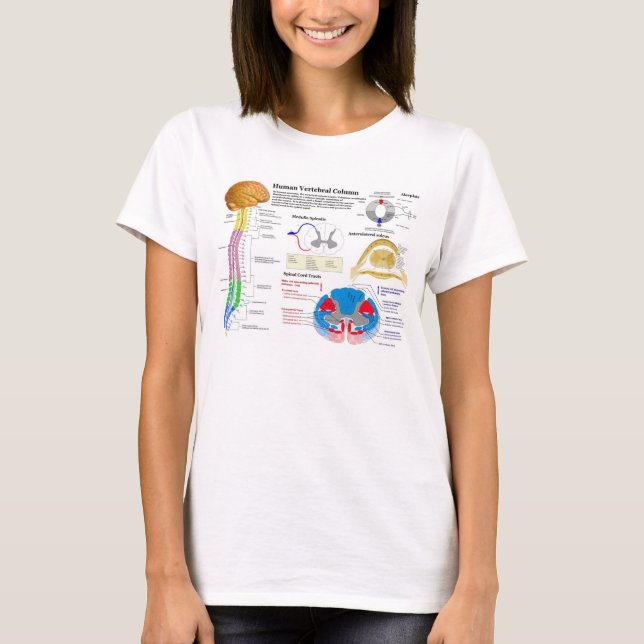 Diagram av den Vertebral kolonnen för människa Tee Shirt (Framsida)