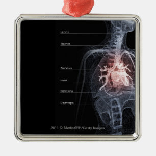 Diagram av det respiratoriska systemet och hjärta julgransprydnad metall