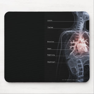 Diagram av det respiratoriska systemet och hjärta musmatta