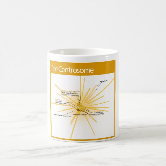 Diagram av en Centrosome Kaffemugg (Center)
