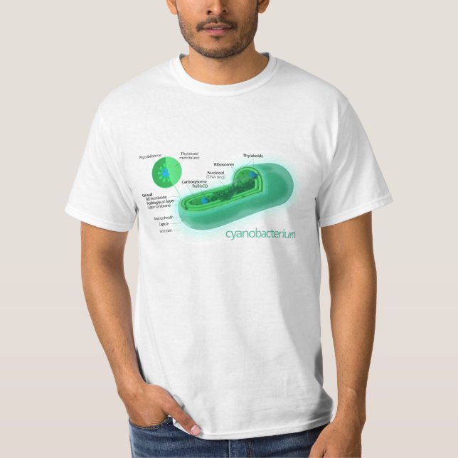 Diagram av en typisk Cyanobacteriacell T-shirt (Framsida)