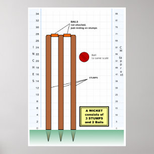 Diagram av ett wicket från leken av syrsan poster