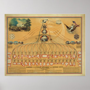 Diagram av federal regering & amerikanunionen poster