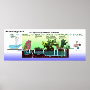 Diagram av Greywater att bearbeta Poster