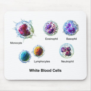 Diagram av Leukocytes för vitblodceller Musmatta