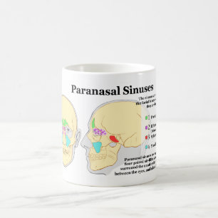 Diagram av människaParanasal Sinuses Kaffemugg