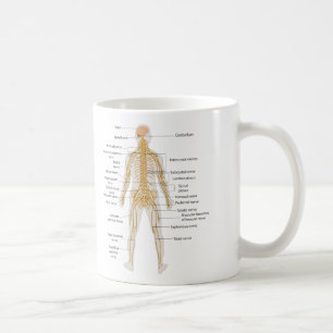 Diagram av människokropp nervsystem kaffemugg