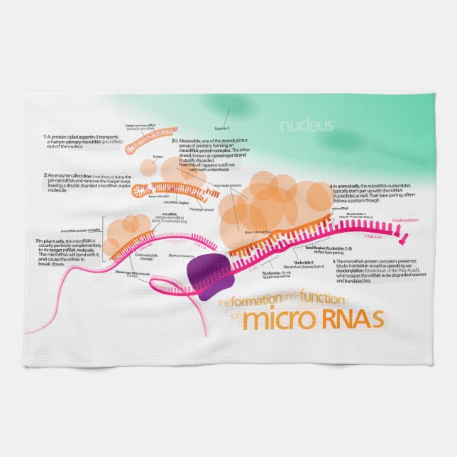 Diagram av microRNA Kökshandduk (Horisontell)