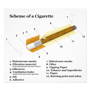 Diagram av röka för tobakcigarett fototryck