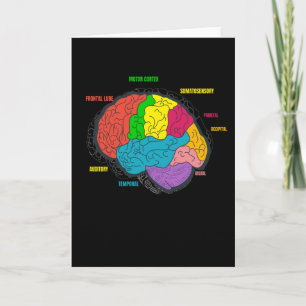 Diagram Brain Neurology Science Kort