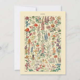 diagram för Fleurs Botanical Wildblome