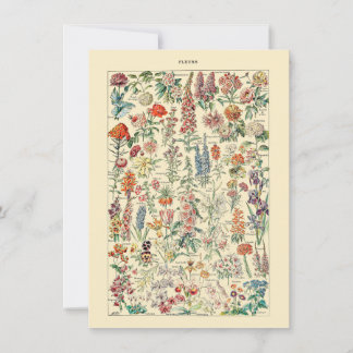 diagram för Fleurs Botanical Wildblome