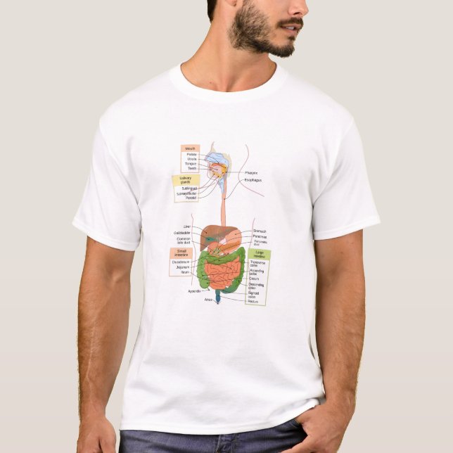 Diagram Human Gastrointestinal matsmältningssystem T Shirt (Framsida)