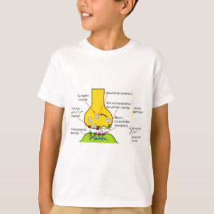 Diagram, hur nerven Signals överförs med Synapse T Shirt