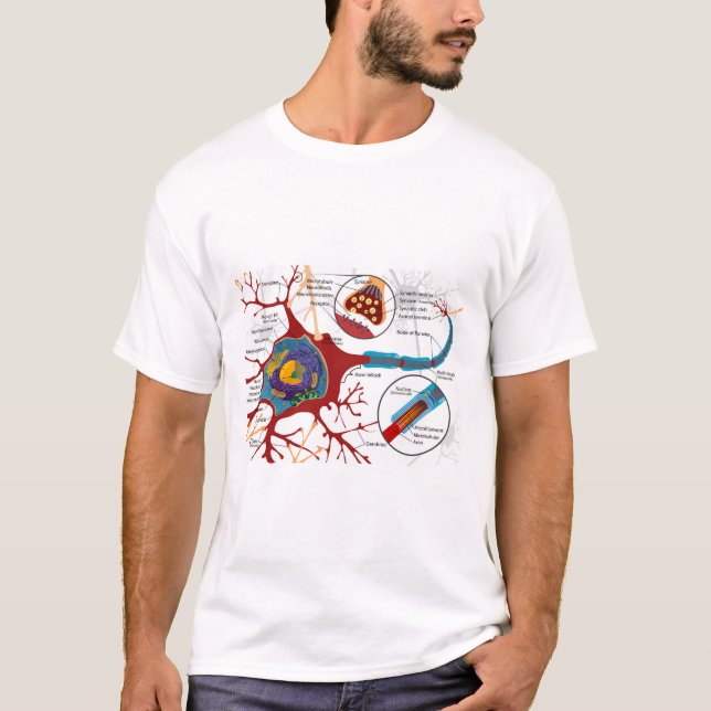 Diagram komplett neuroncell nerv nervsystem  t shirt (Framsida)