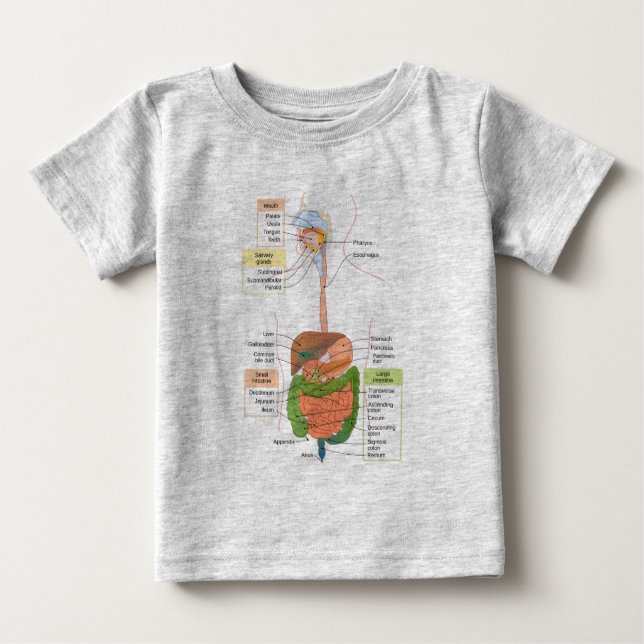 Diagram Mag- tarmkanalen Mag- tarmkanalen T Shirt (Framsida)