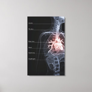 Diagram över andningssystemet och hjärtat canvastryck