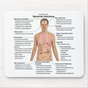 Diagram över bakterieinfektioner hos människor musmatta