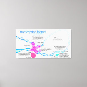 Diagram över cellernas Gentranskriptionsfaktorer Canvastryck