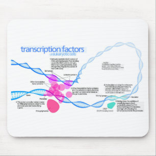 Diagram över cellernas Gentranskriptionsfaktorer Musmatta
