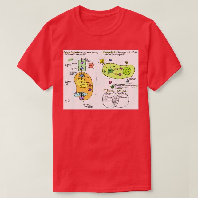 Diagram över cellulär respiration och fotosyntes t shirt (Design framsida)