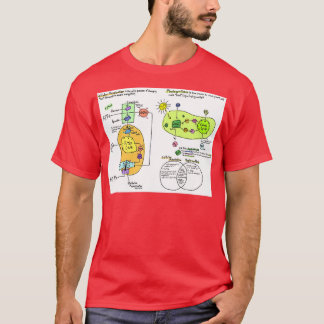 Diagram över cellulär respiration och fotosyntes t shirt