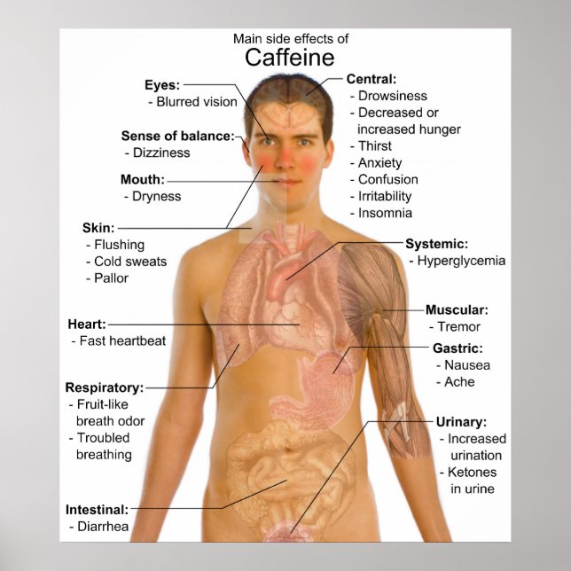 Diagram över de viktigaste biverkningarna av koffe poster (Framsidan)
