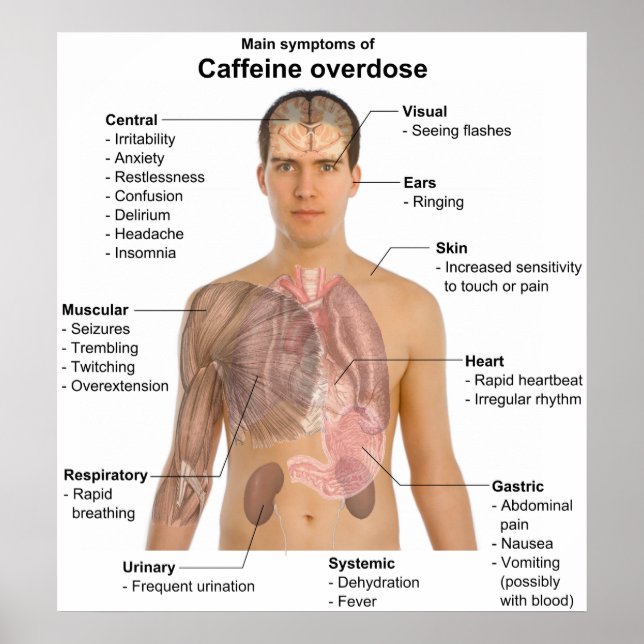 Diagram över de viktigaste symtomen på en koffeinö poster (Framsidan)