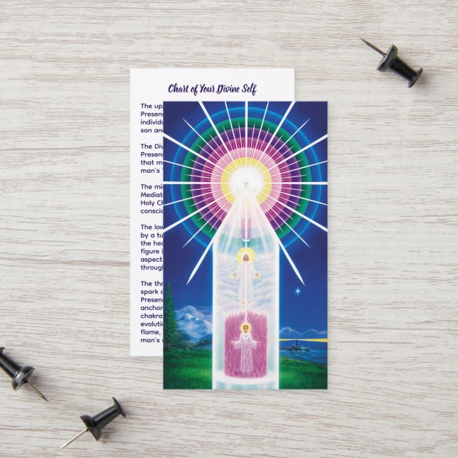 Diagram över ditt gudomliga självmord (Fram/Back In Situ)