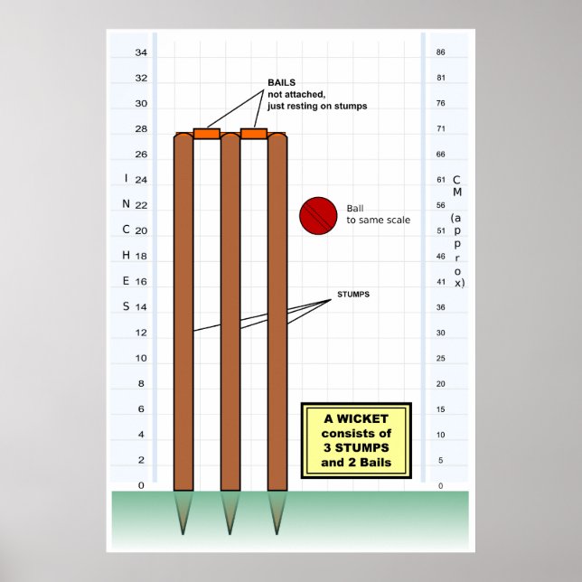 Diagram över ett Wicket från Cricketspel Poster (Framsidan)