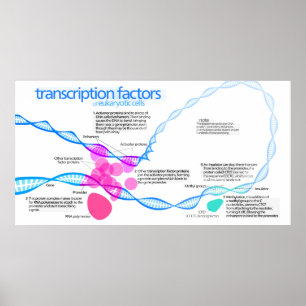 Diagram över gentranskriptionsfaktorer poster