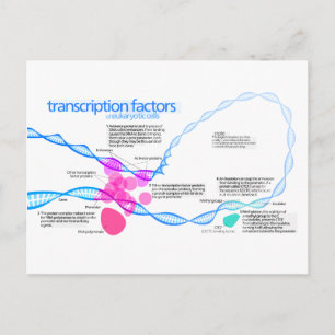 Diagram över gentranskriptionsfaktorer vykort