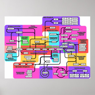 Diagram över grundläggande metabolism i levande or poster