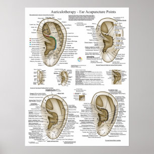 Diagram över höjdpunkter för Auriculoterapi Ögonsk Poster