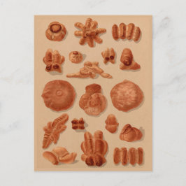 Diagram över illustrationer av italienska Breadvin Vykort